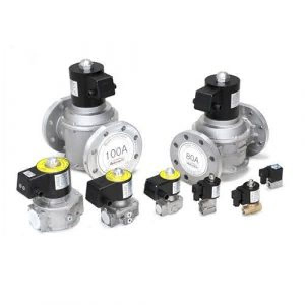 Van điện từ Autosigma HDG-EX 2050F Mặt bích 2" Coil 220V